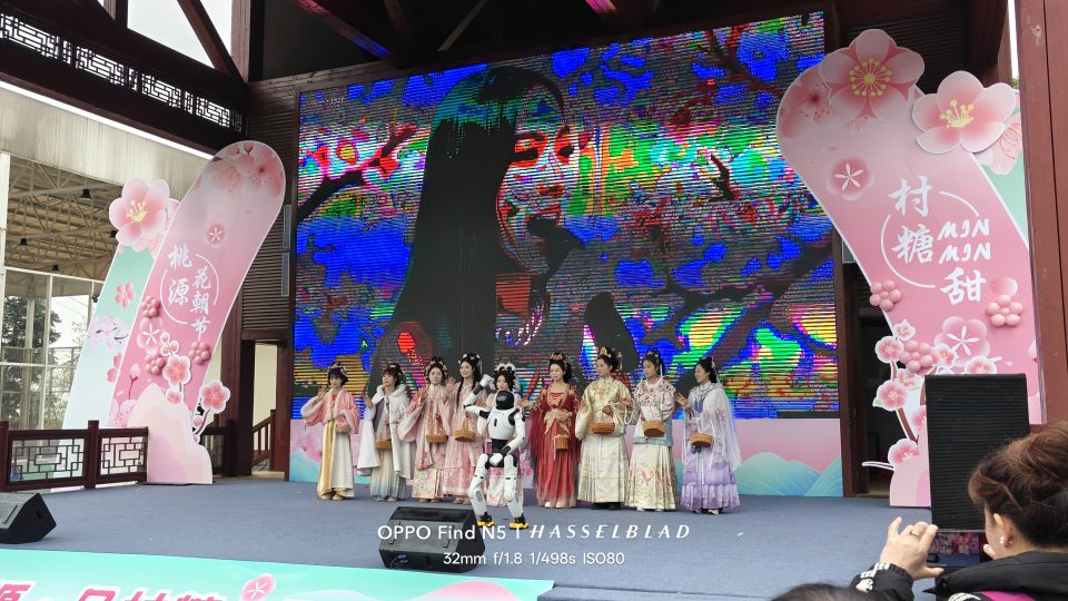 龙泉驿桃花节表演